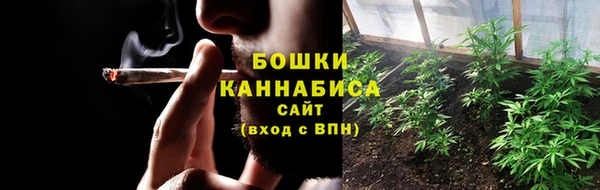 ПСИЛОЦИБИНОВЫЕ ГРИБЫ Баксан