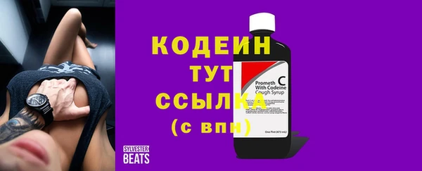 индика Балахна